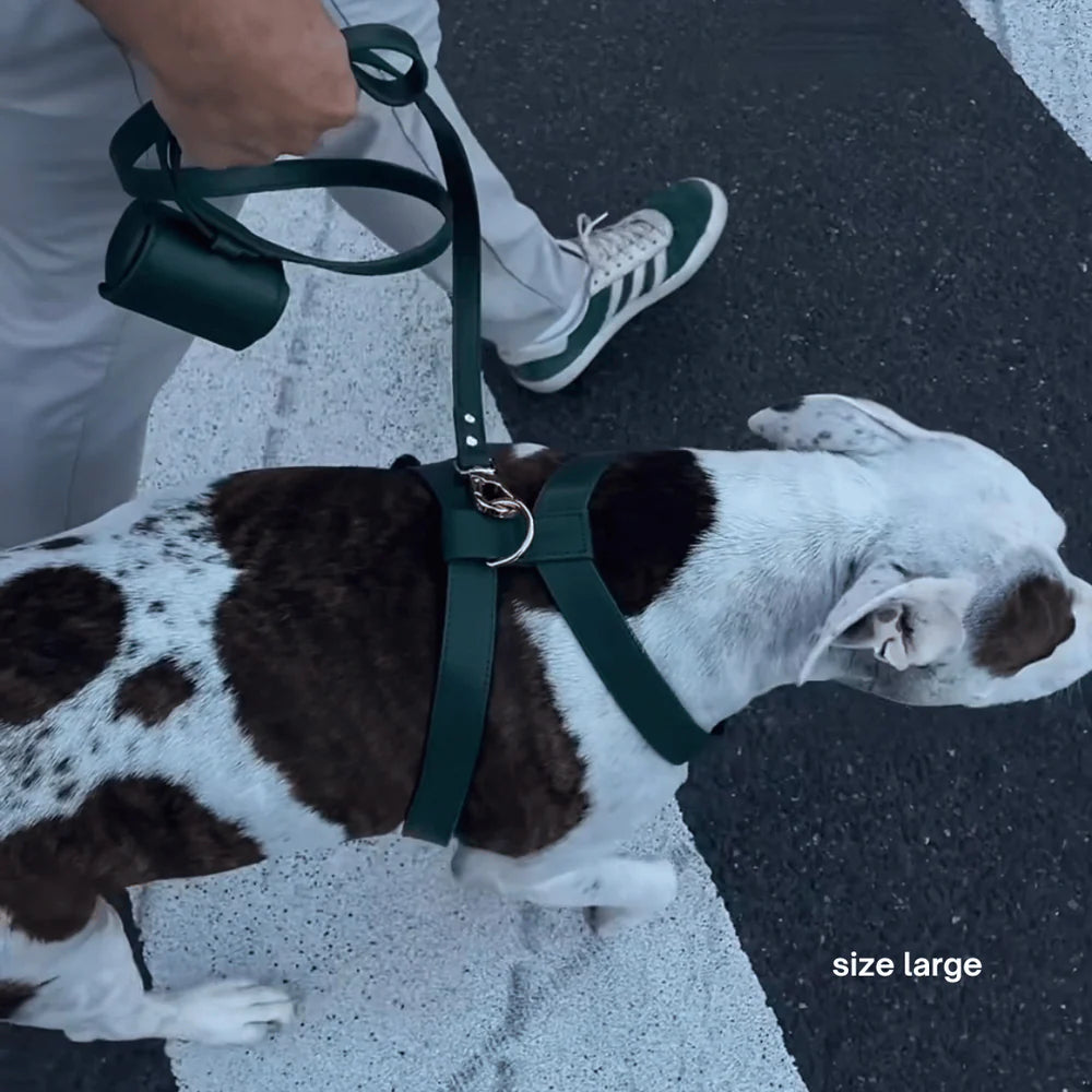 Vegan Leather Harness Walk Set