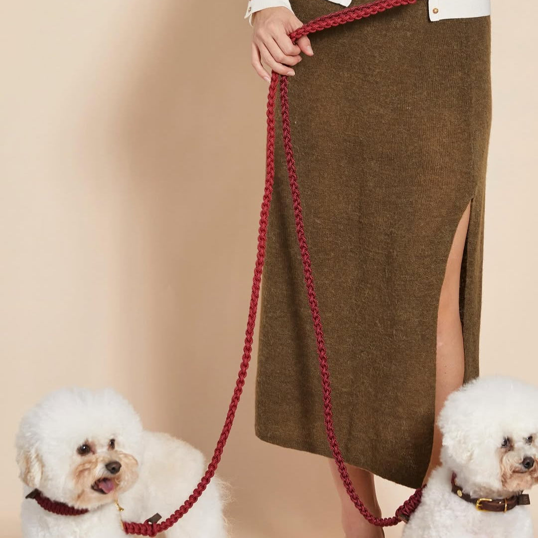 Person holding a red dog leash with two small dogs on a beige background