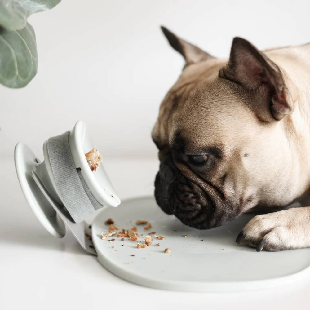 Dog enjoying mealtime using Lunoji Trove slow feeder mounted on the Chewden Base, promoting stability and mess-free feeding