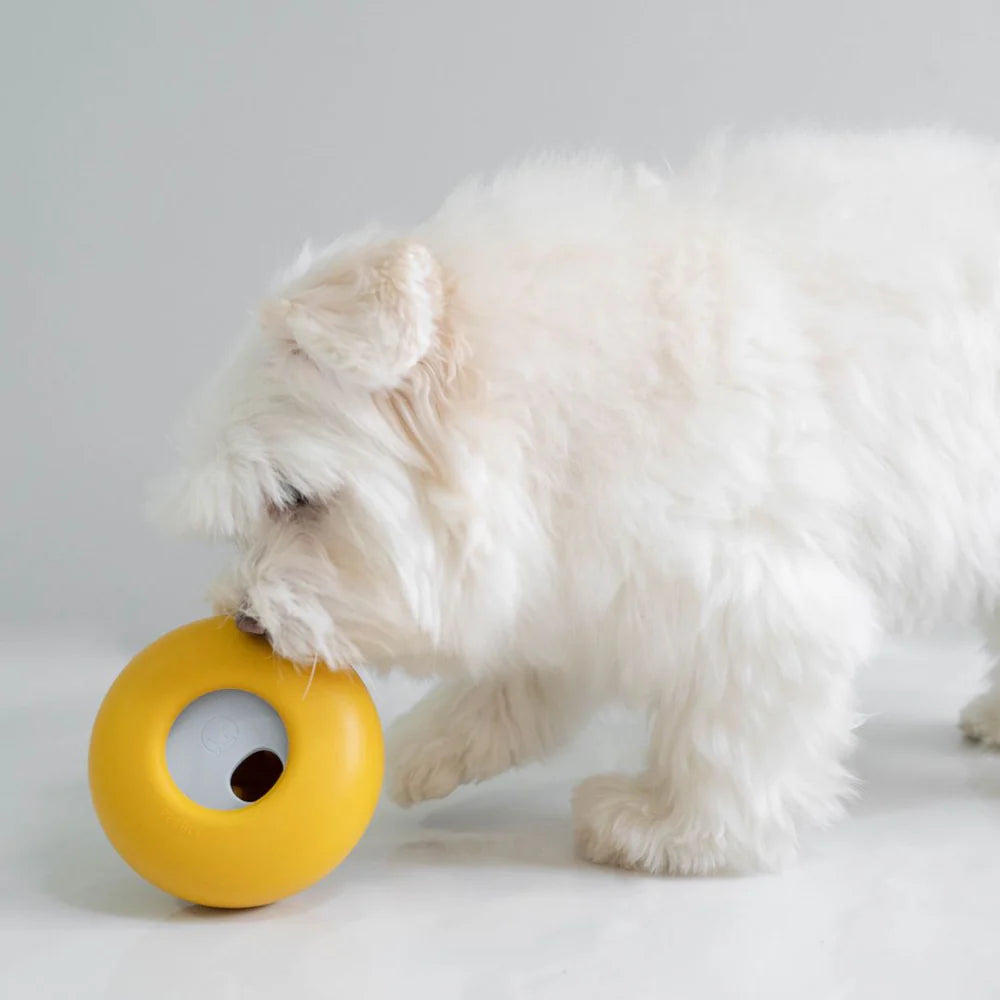 Dog playing with Lunoji Pebble interactive toy in yellow, rolling it to release treats for rewarding mental stimulation