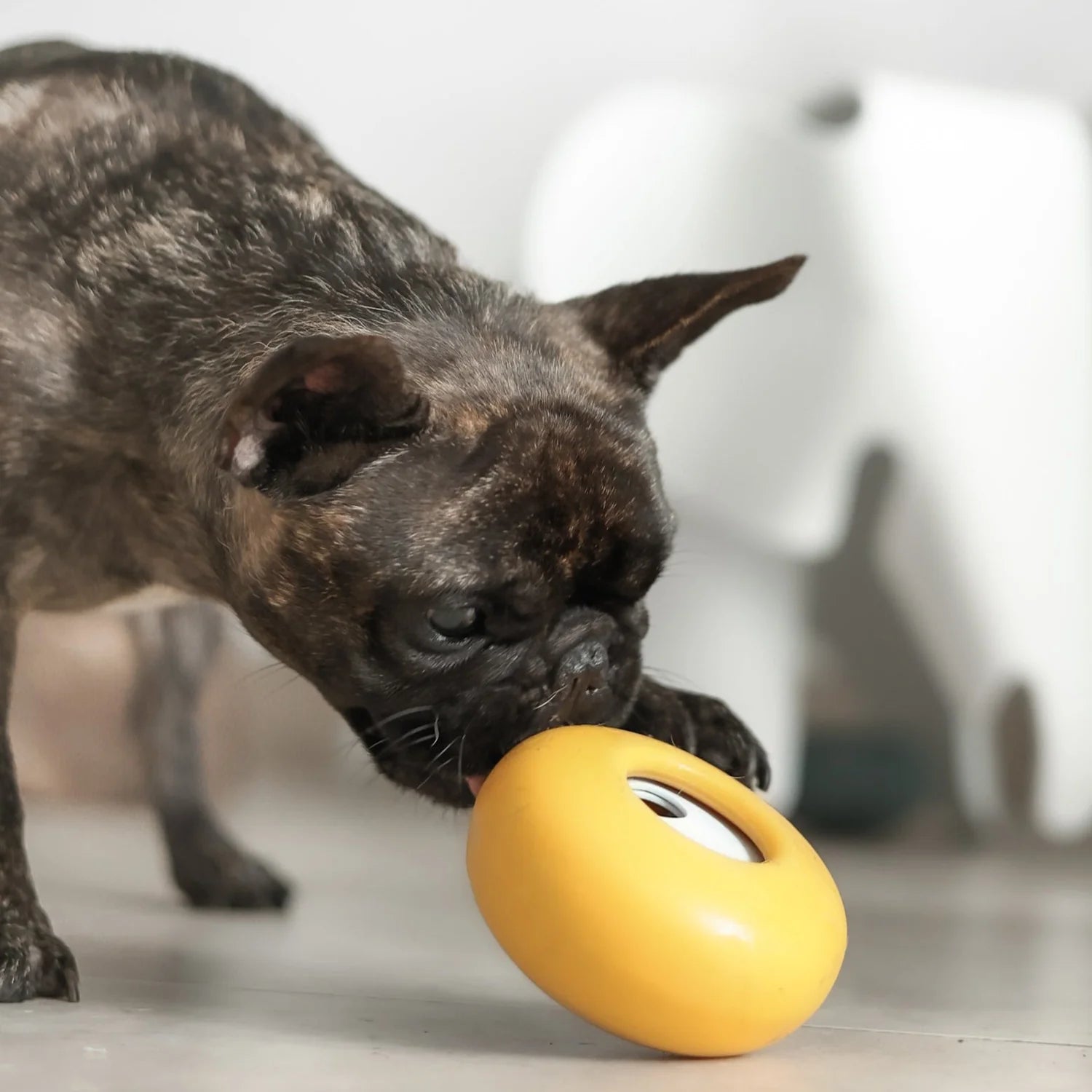 Dog playing with Lunoji Pebble interactive toy in yellow, rolling it to release treats for rewarding mental stimulation