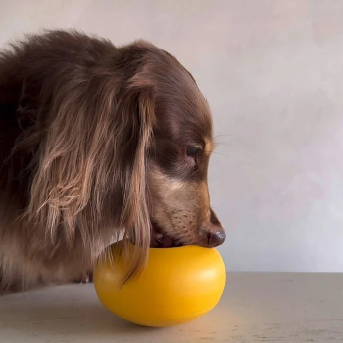 Dog eating on Lunoji Pebble treat-dispensing toy in slate blue, designed to encourage natural foraging behavior.