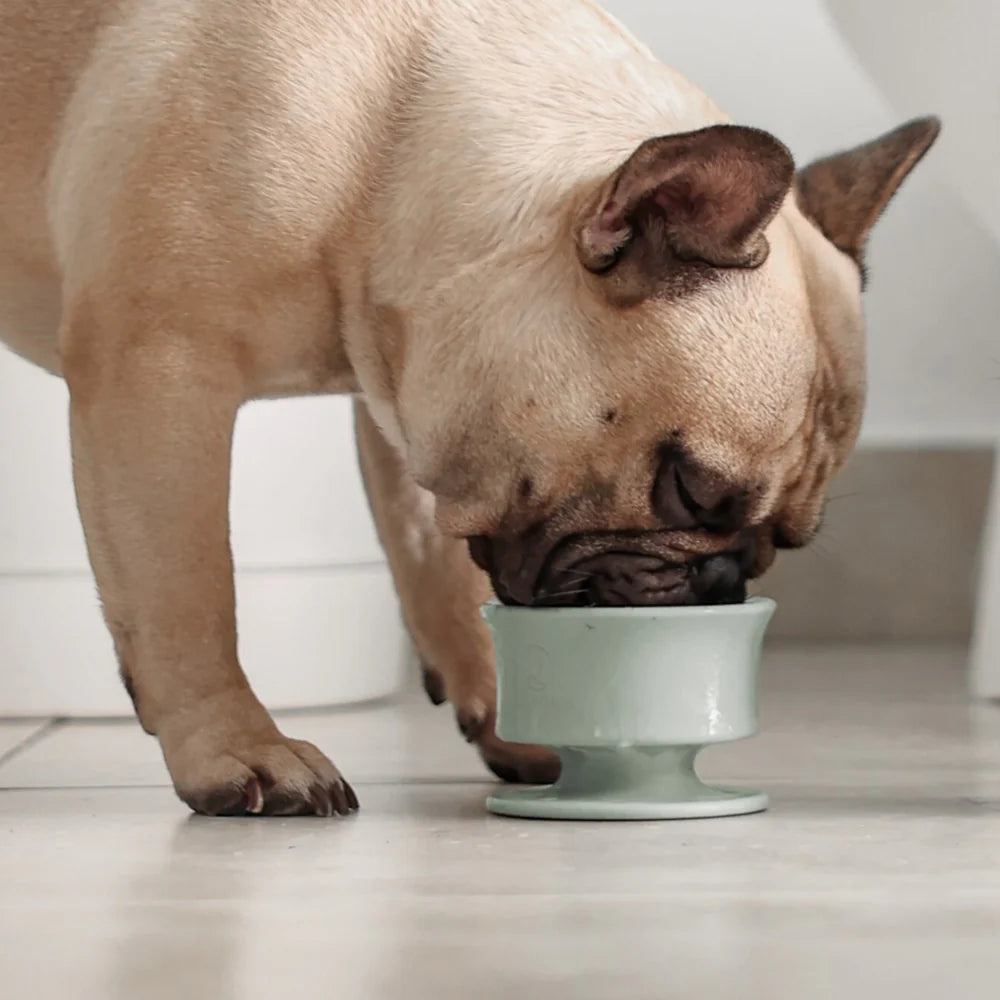 Dog eating from Lunoji Trove slow feeder in sage green, designed to encourage slower eating and mindful mealtime