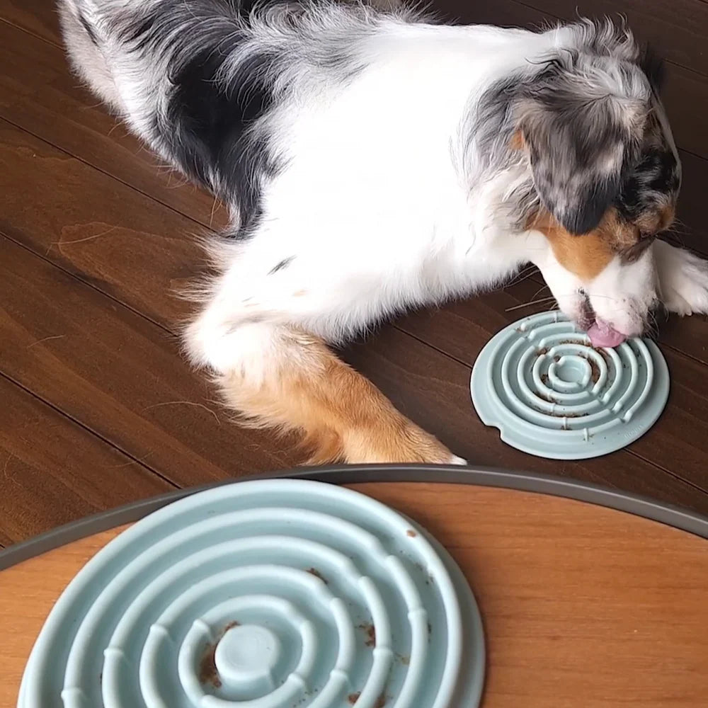 Dog licking treats from Lunoji Twirl lick mat, spiral grooves promote slower eating and sensory engagement