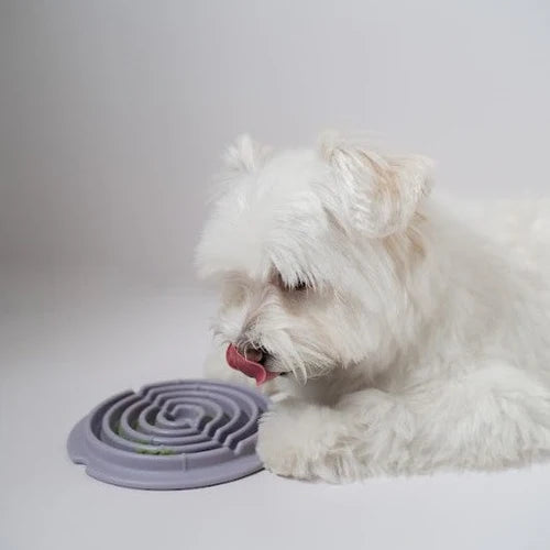 Dog licking treats from Lunoji Twirl lick mat in purple, spiral grooves promote slower eating and sensory engagement