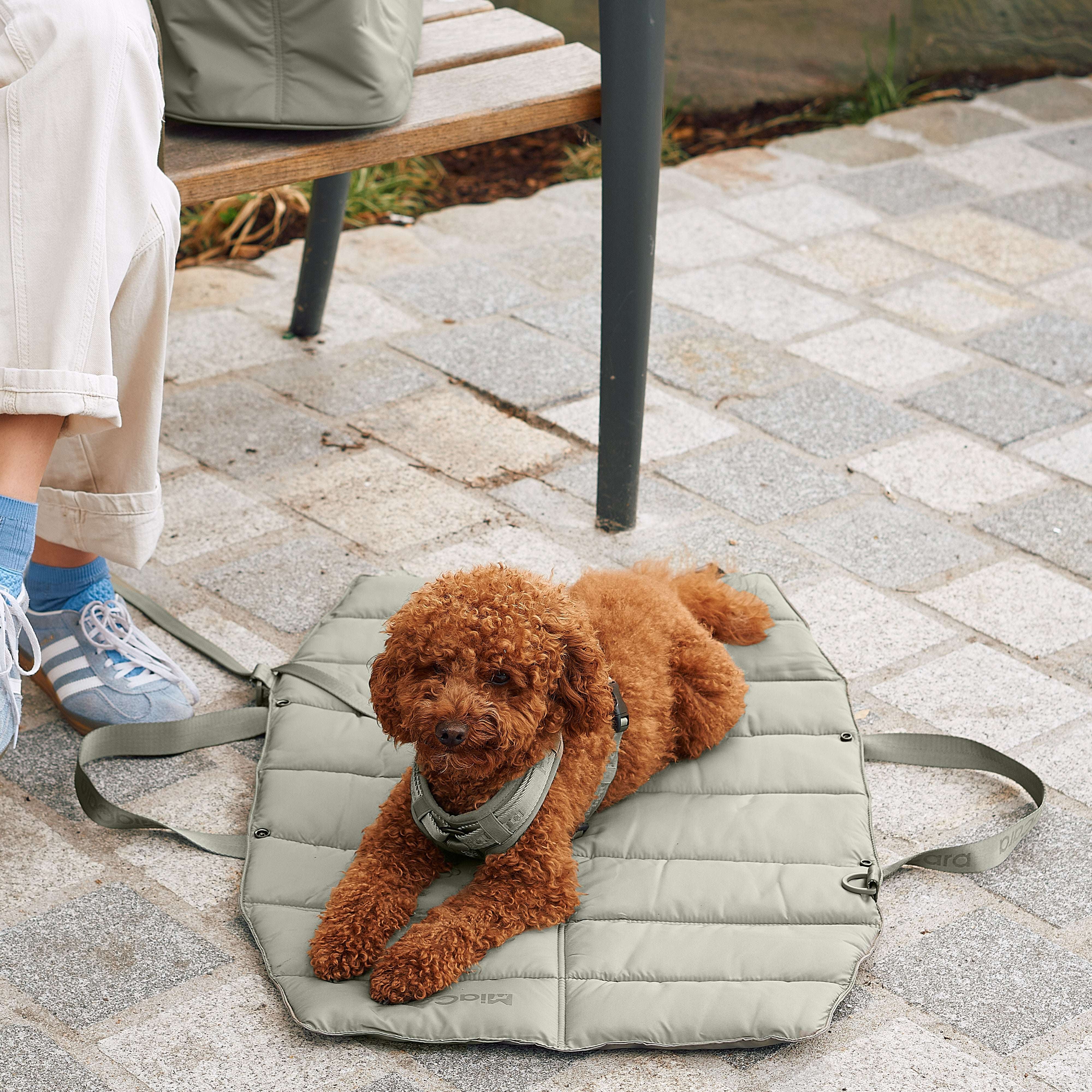 MiaCara Strada foldable travel dog bed in green, portable pet bedding ideal for car rides, holidays, or outdoor adventures