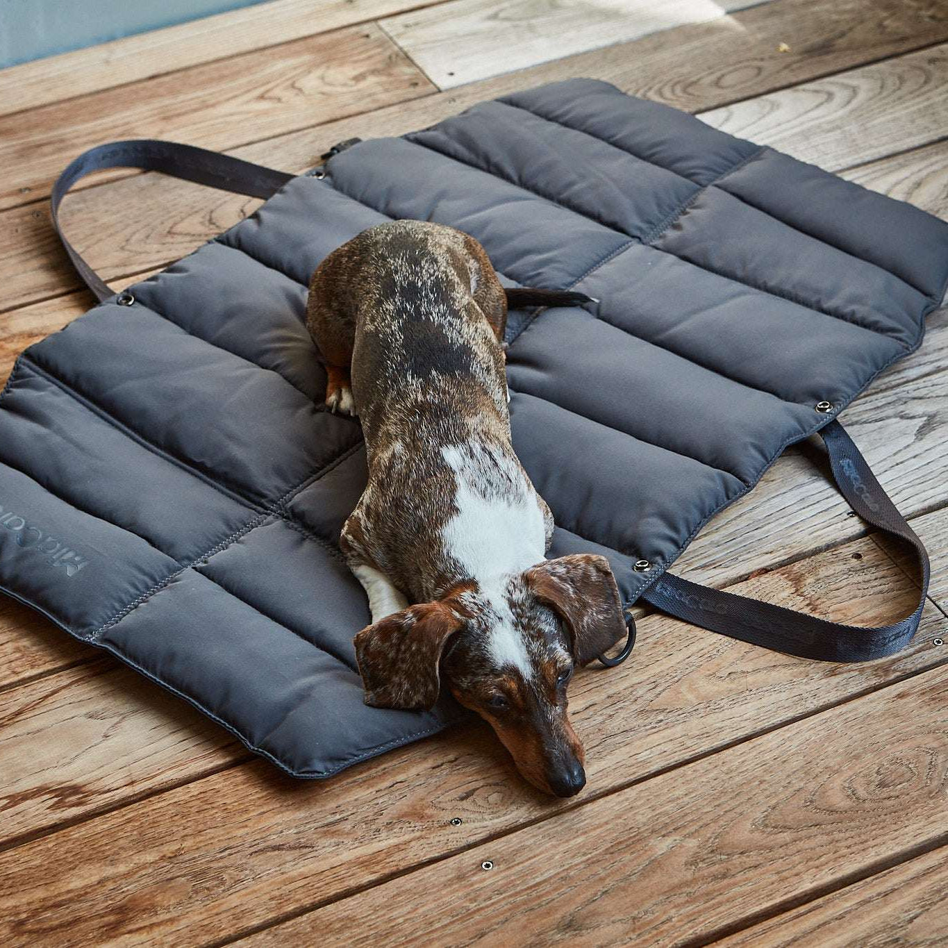 Dog resting on MiaCara Strada dark grey travel bed, comfortable portable cushion for trips and outdoor use.”