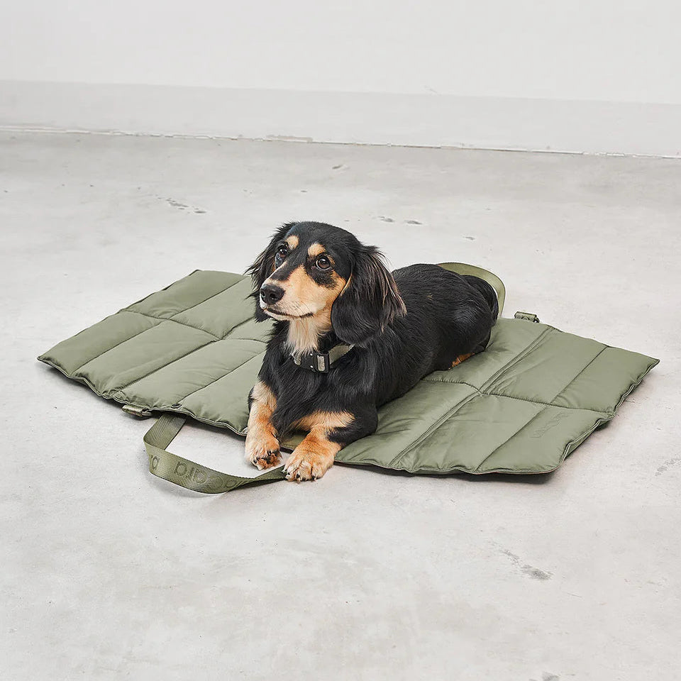 Dog resting on MiaCara Strada green travel bed, comfortable portable cushion for trips and outdoor use.