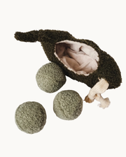 Pea Pop