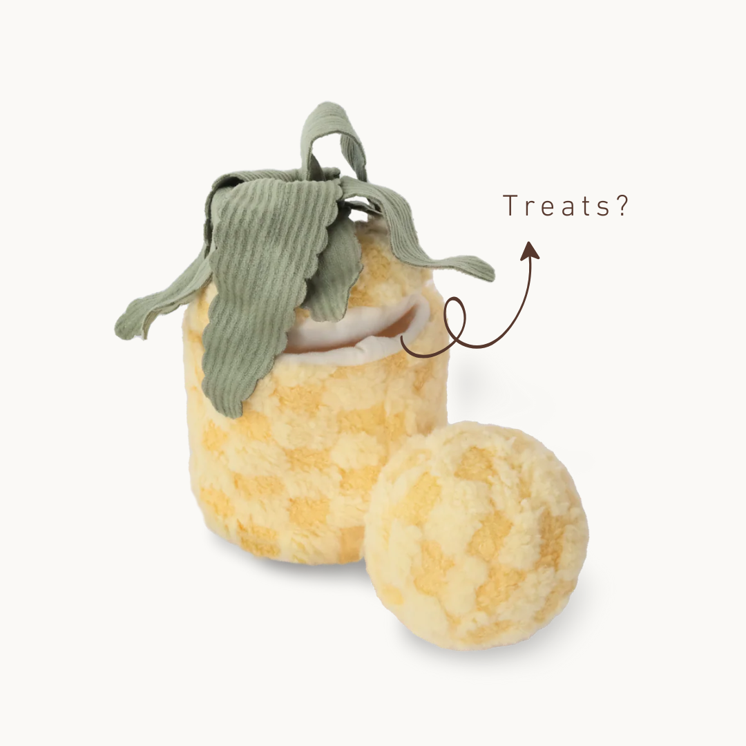 Pineapple Pop Toy