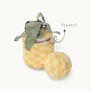 Pineapple Pop Toy