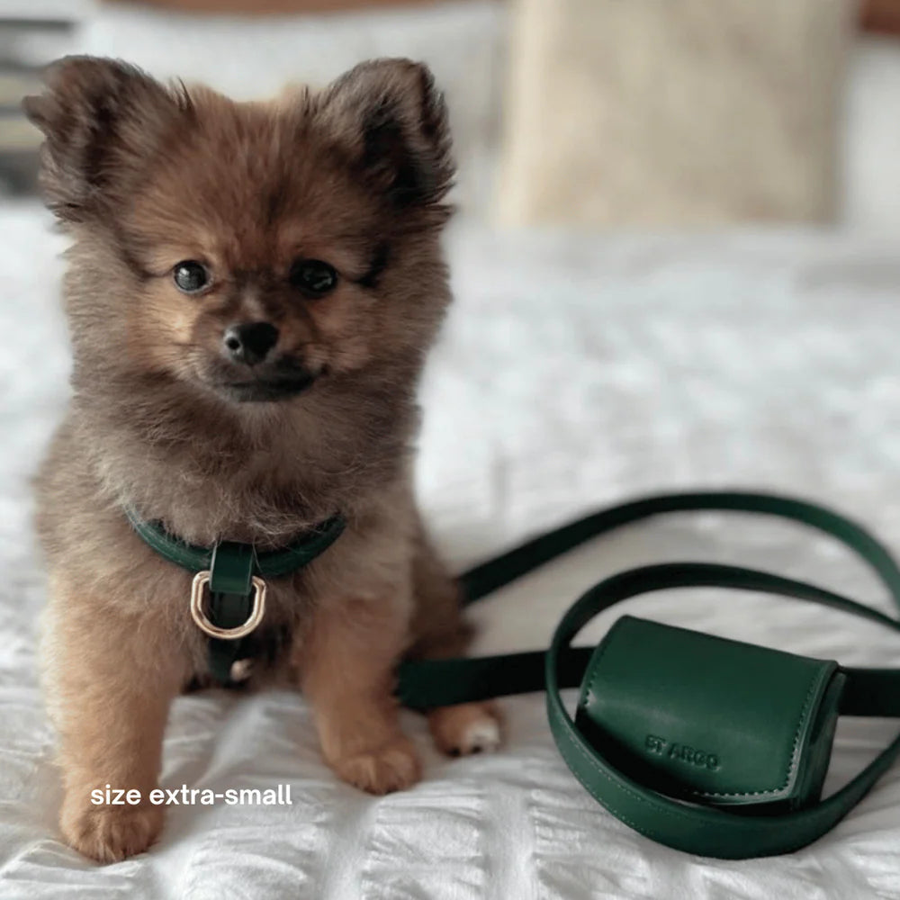 Vegan Leather Harness Walk Set