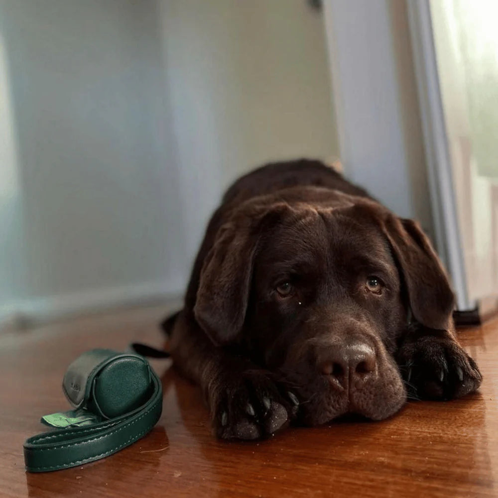 green vegan leather poop bag holder clipped to dog leash, stylish and practical walking accessory.