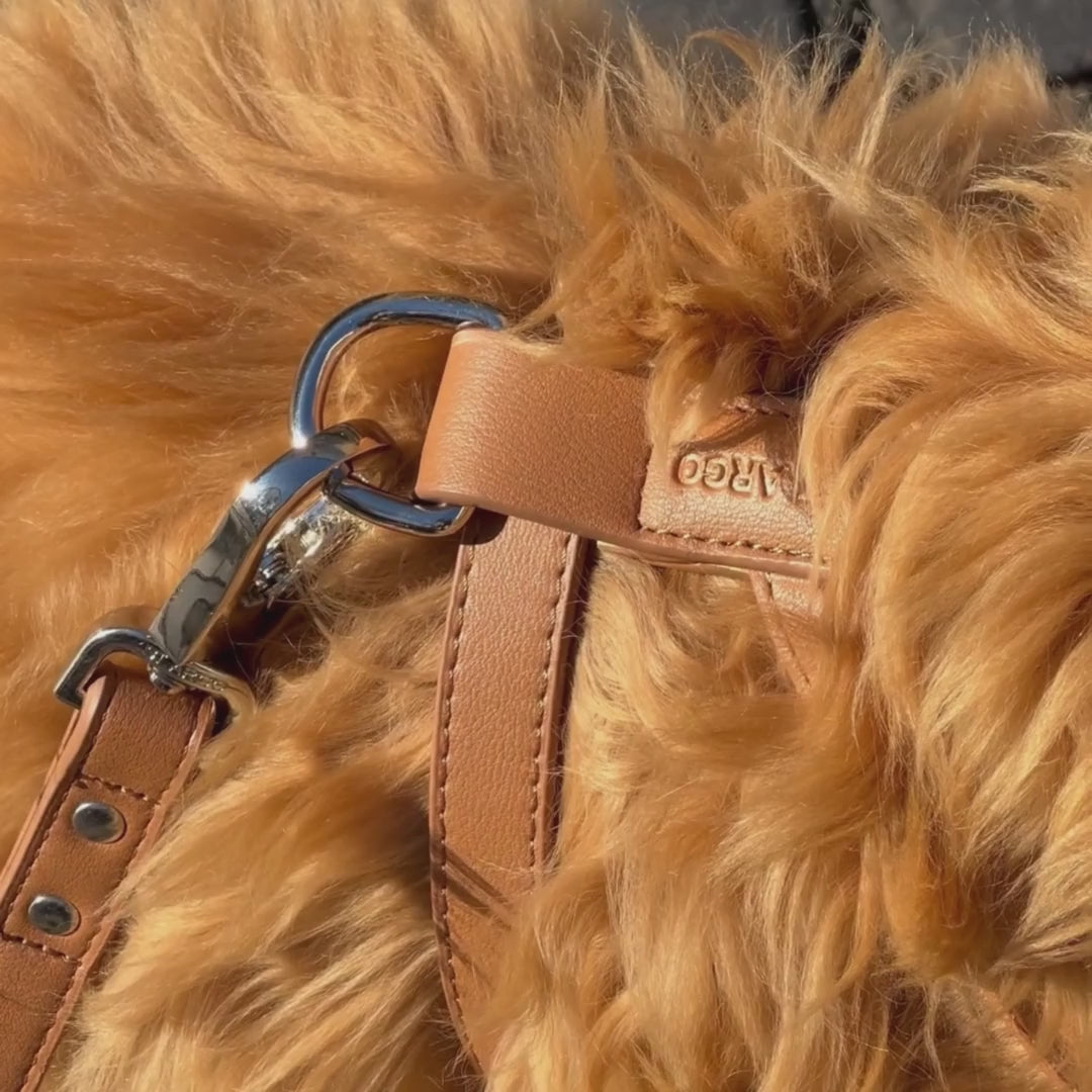 Load video: Harness Walk Set - Brown