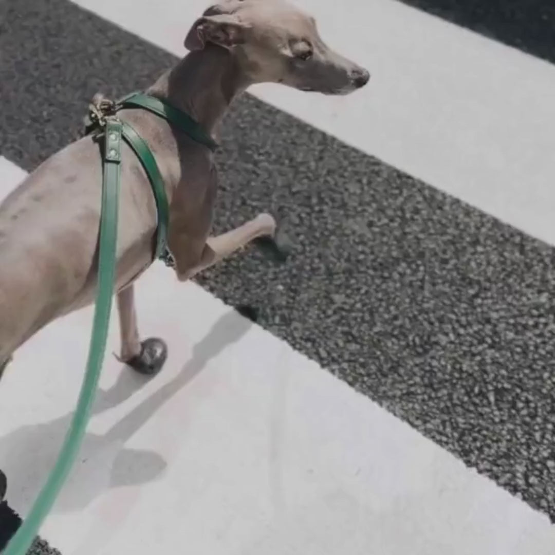 Load video: Vegan Leather Harness