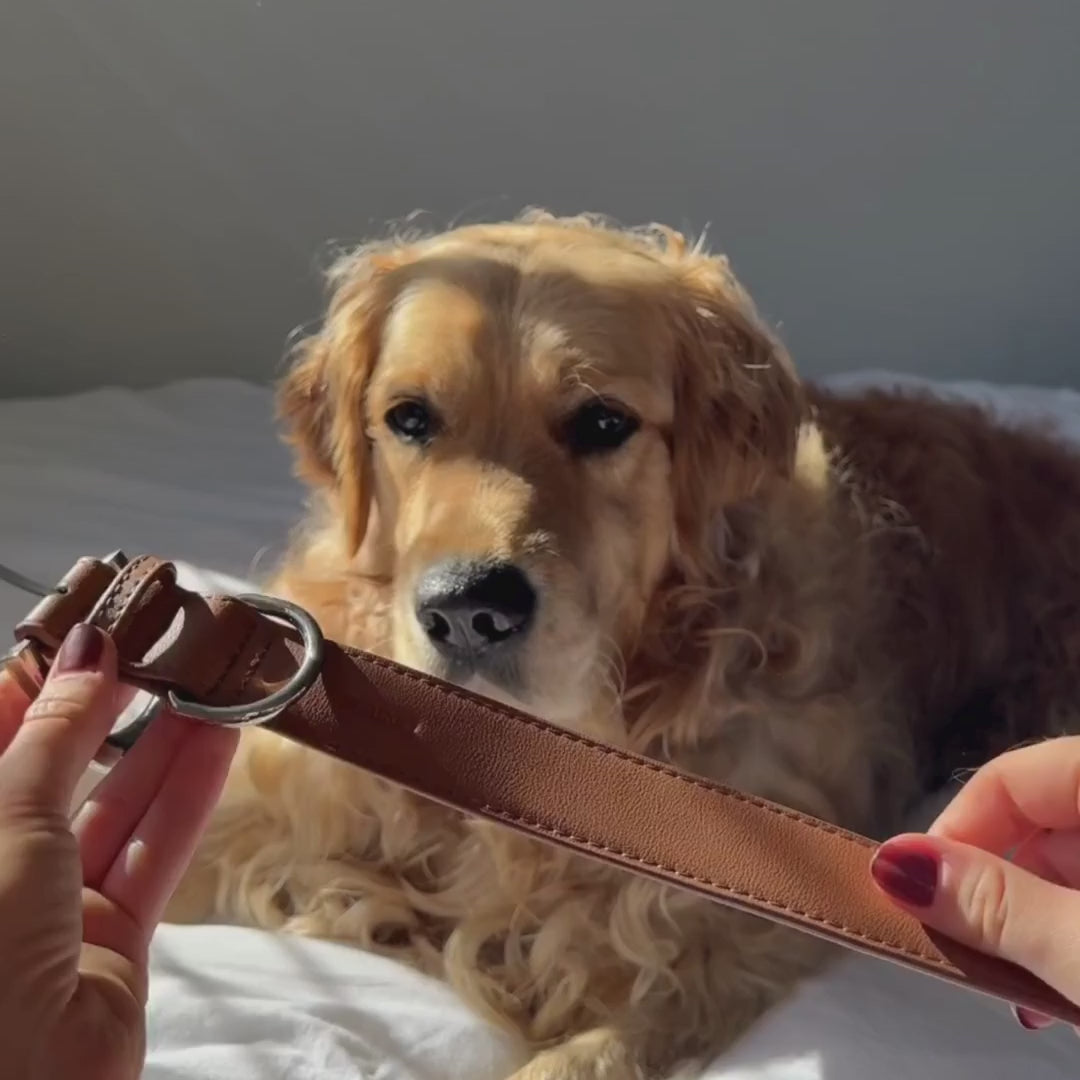 Load video: Vegan Leather Dog Collar