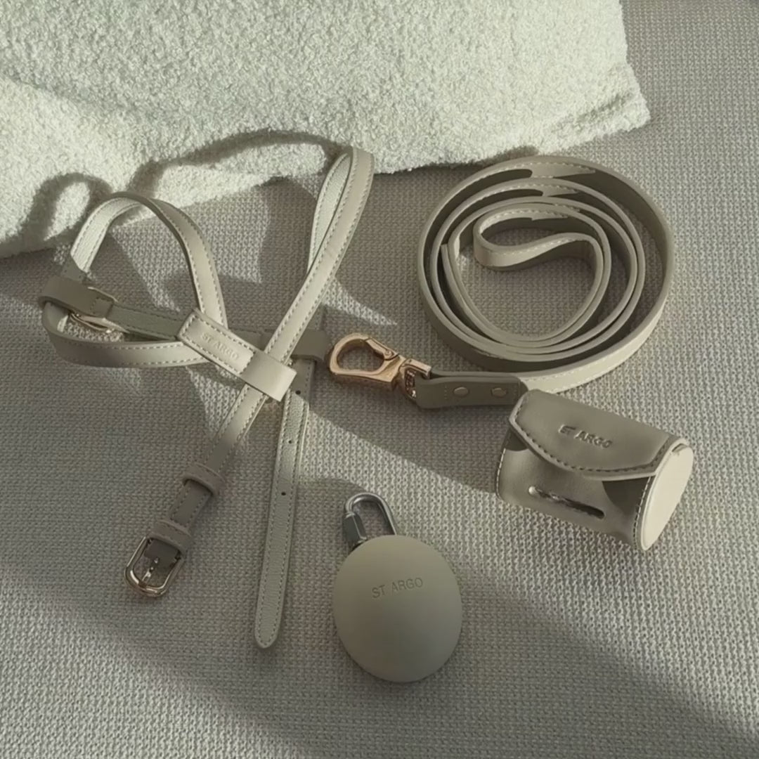 Load video: Harness Walk Set - Taupe