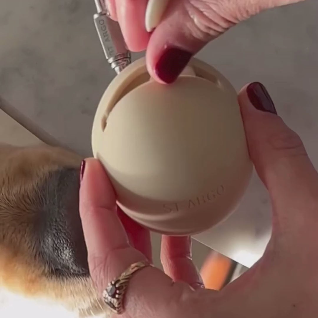 Load video: Treat Pouch