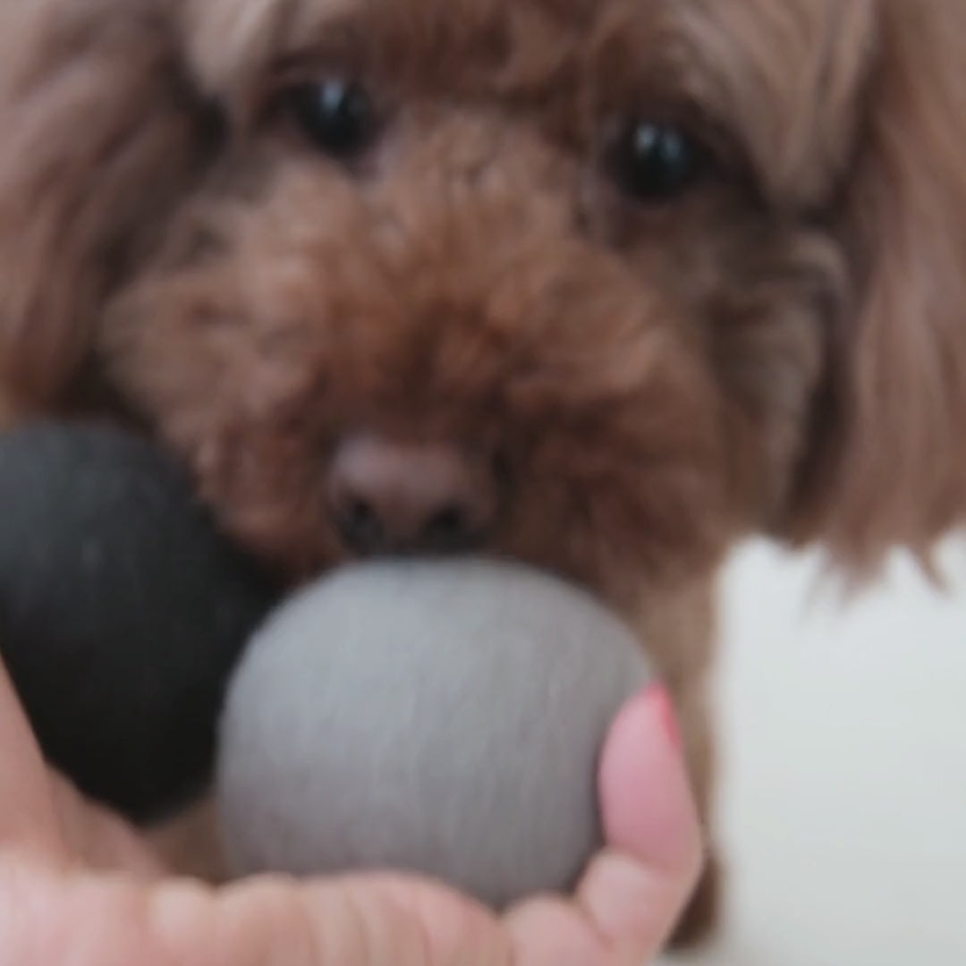 Load video: Natural Felt Wool Dog Toy Ball