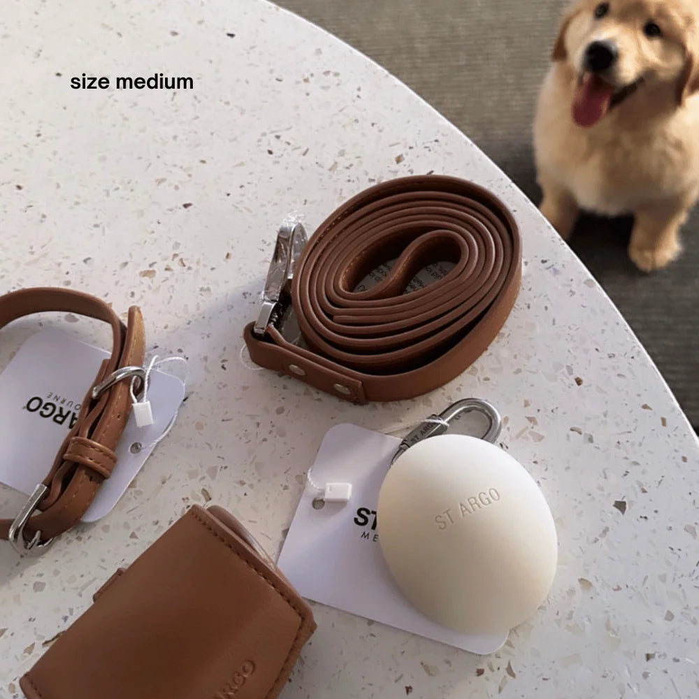 Vegan Leather Collar Walk Set