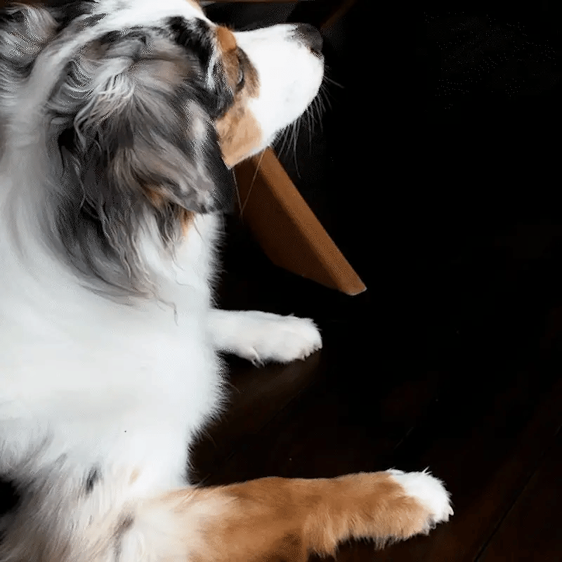 Twirl Lick Mat
