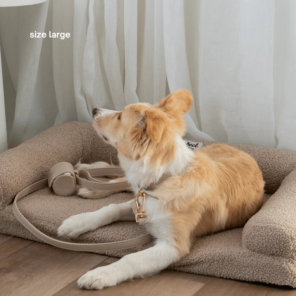 Dog lying on a large pet bed with a leash next to it, size large label visible.