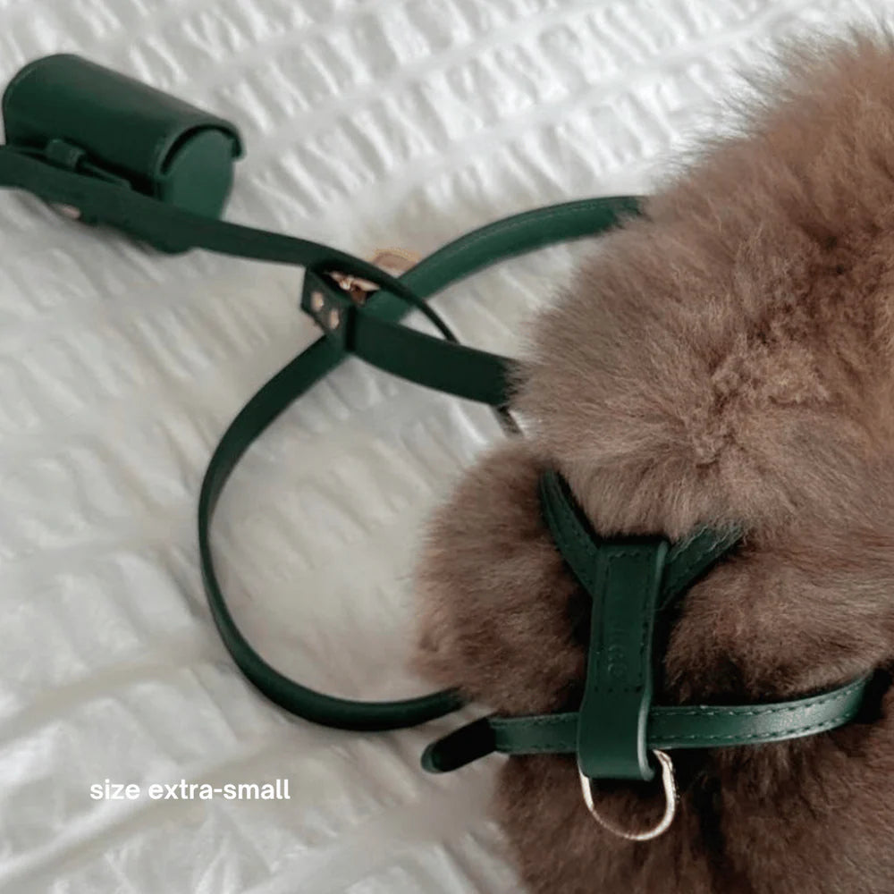 Vegan Leather Harness Walk Set