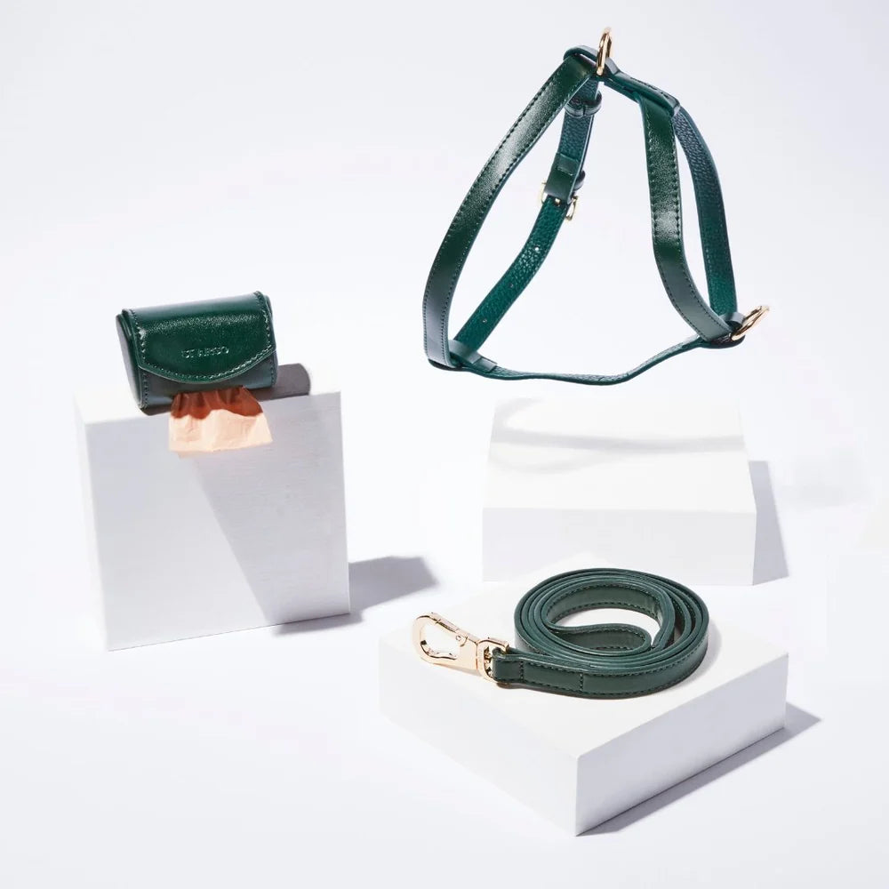 Green vegan leather dog collar, leash and poop bag holder set on a white background