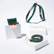 Green vegan leather dog collar, leash and poop bag holder set on a white background
