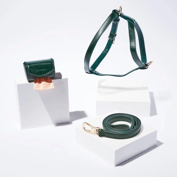 Green vegan leather dog collar, leash and poop bag holder set on a white background