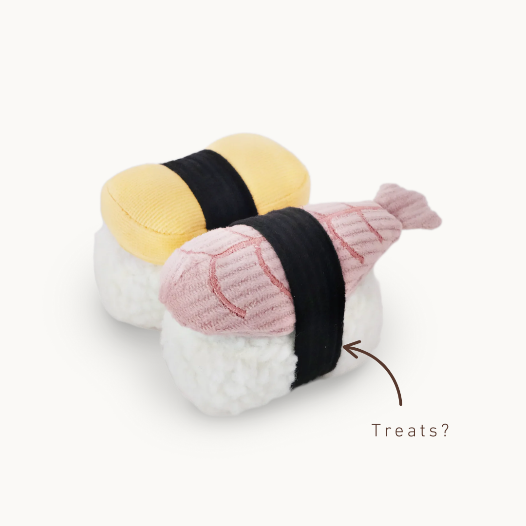 Sushi Set Toy