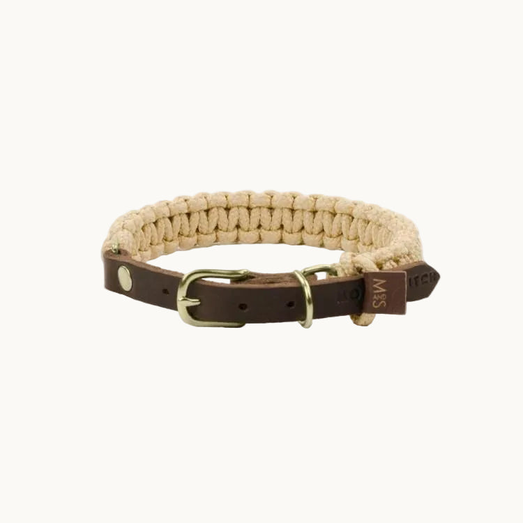 Molly & Stitch Touch of Leather dog collar with beige braided rope and brown leather strap, finished with gold hardware — durable and stylish design from Lumi Pets Walk collection.