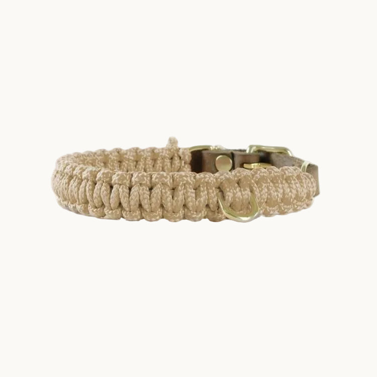 Close-up of Molly & Stitch Touch of Leather dog collar, highlighting beige woven rope texture, leather strap, and polished gold hardware.