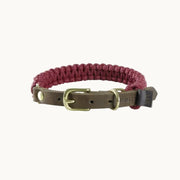 Molly & Stitch Touch of Leather dog collar with red braided rope and brown leather strap, finished with gold hardware — durable and stylish design from Lumi Pets Walk collection.