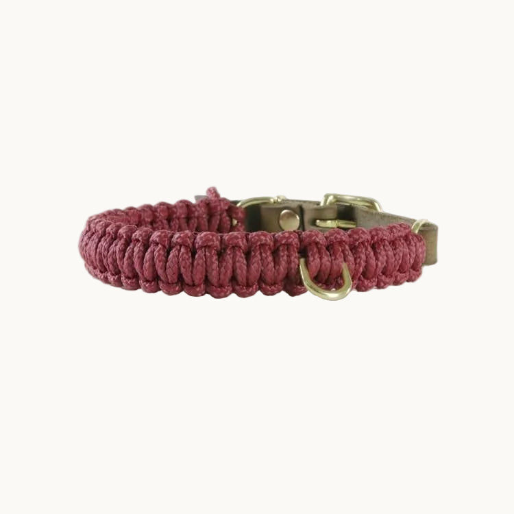 Close-up of Molly & Stitch Touch of Leather dog collar, highlighting red woven rope texture, leather strap, and polished gold hardware
