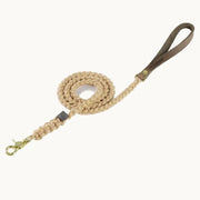 Molly & Stitch Touch of Leather dog leash with beige braided rope, brown leather handle, and gold clasp — handcrafted minimalist design from Lumi Pets Walk collection.