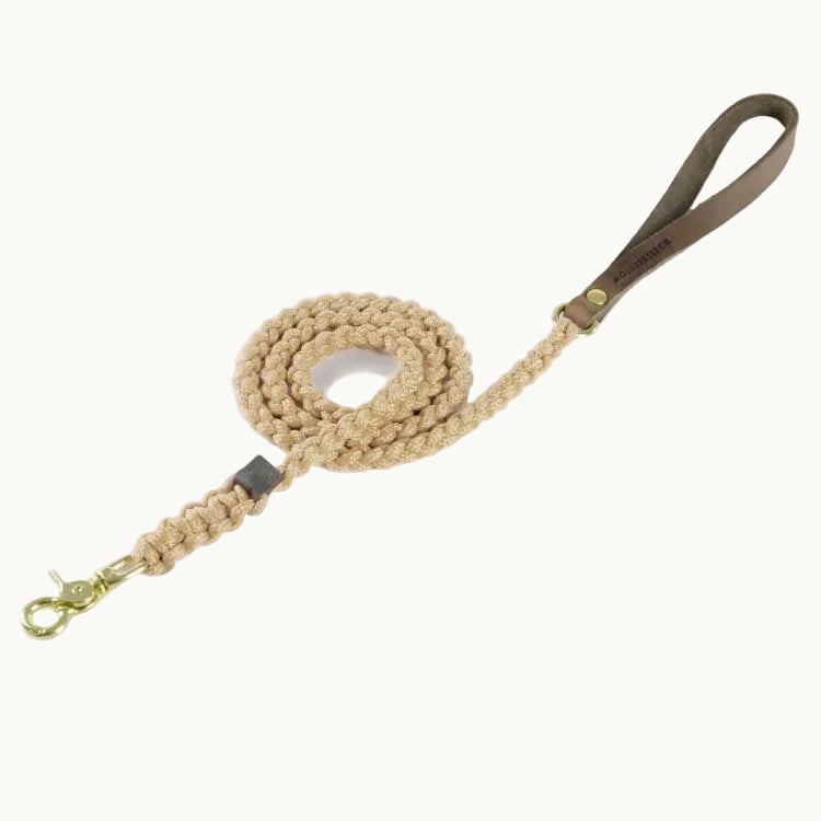 Molly & Stitch Touch of Leather dog leash with beige braided rope, brown leather handle, and gold clasp — handcrafted minimalist design from Lumi Pets Walk collection.