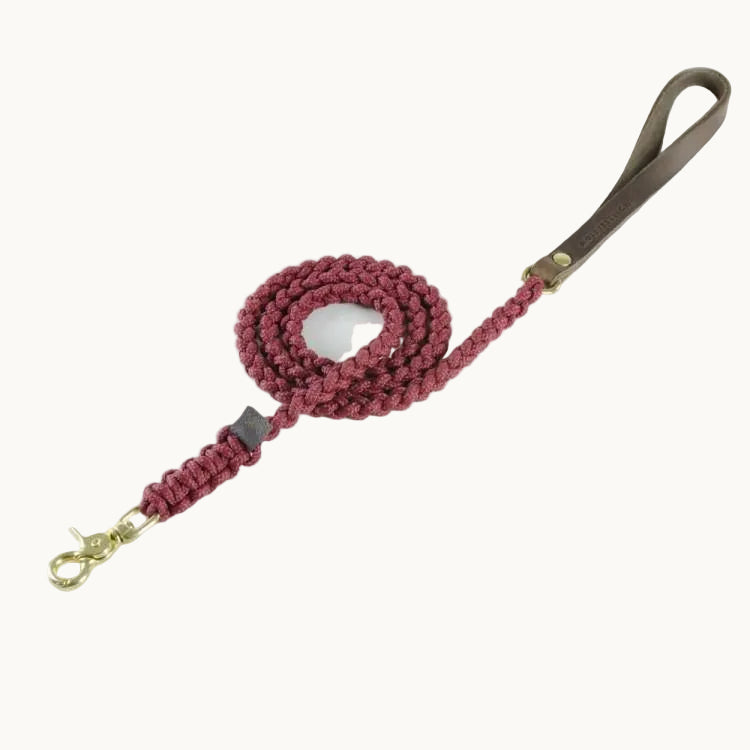 Molly & Stitch Touch of Leather dog leash with red braided rope, brown leather handle, and gold clasp — handcrafted minimalist design from Lumi Pets Walk collection