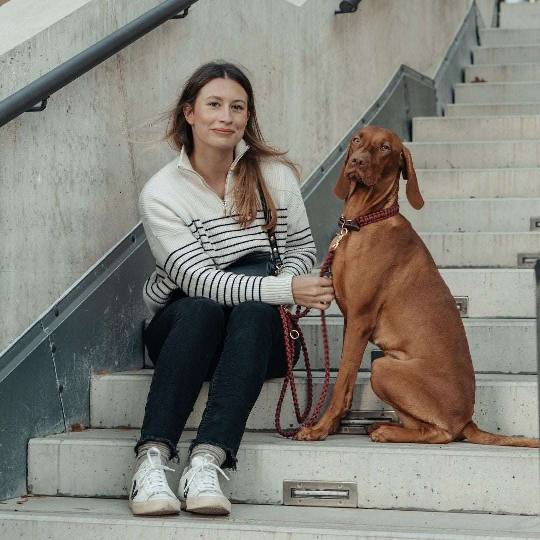 Matching Molly & Stitch Touch of Leather dog collar and leash with red rope and leather, elegant walking set with gold hardware.