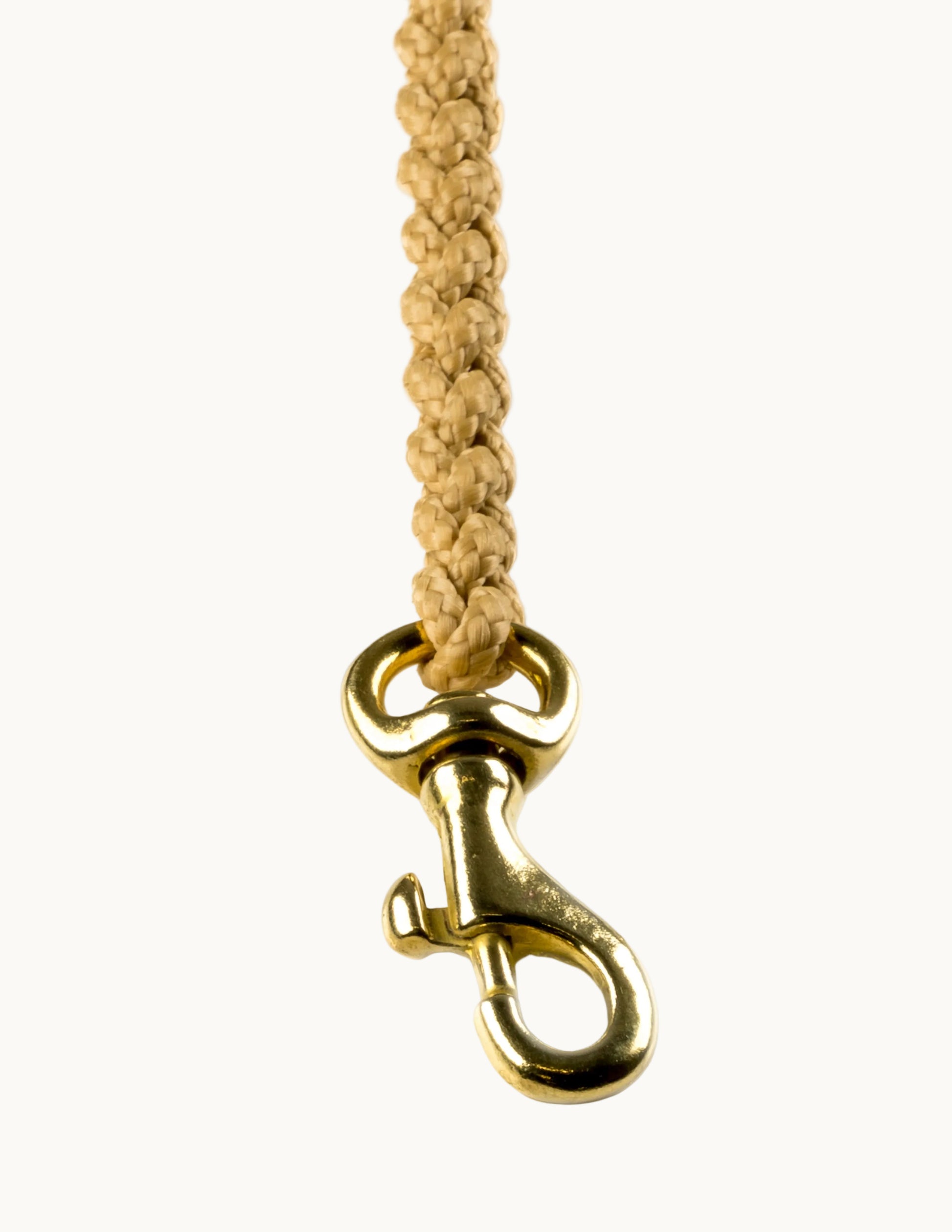 Close-up of Molly & Stitch Touch of Leather leash, showing braided rope texture, and gold clasp