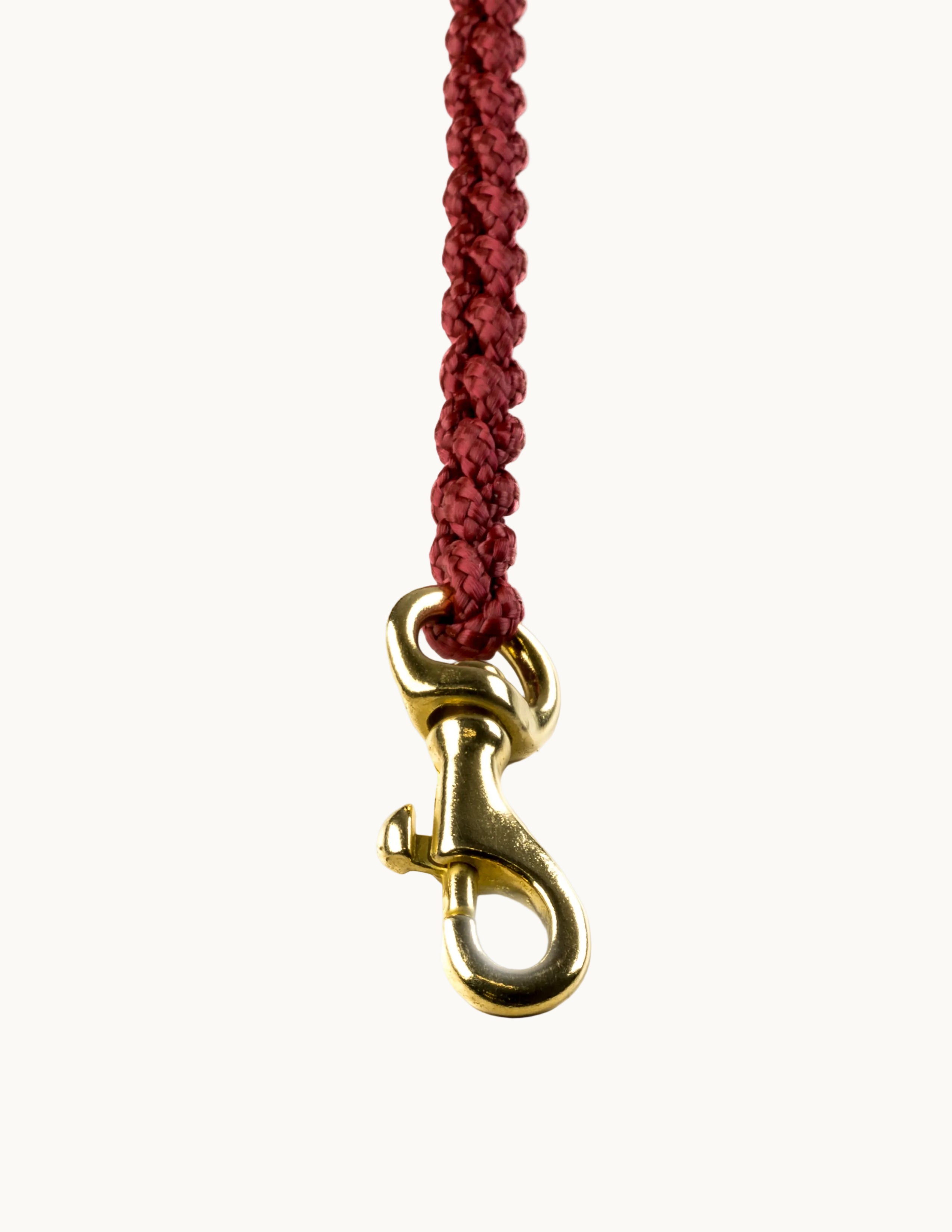 Close-up of Molly & Stitch Touch of Leather leash, showing red braided rope texture, and gold clasp.
