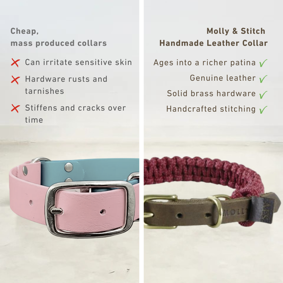 Handmade Dog Collar