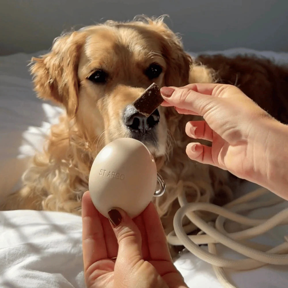 Treat Pouch
