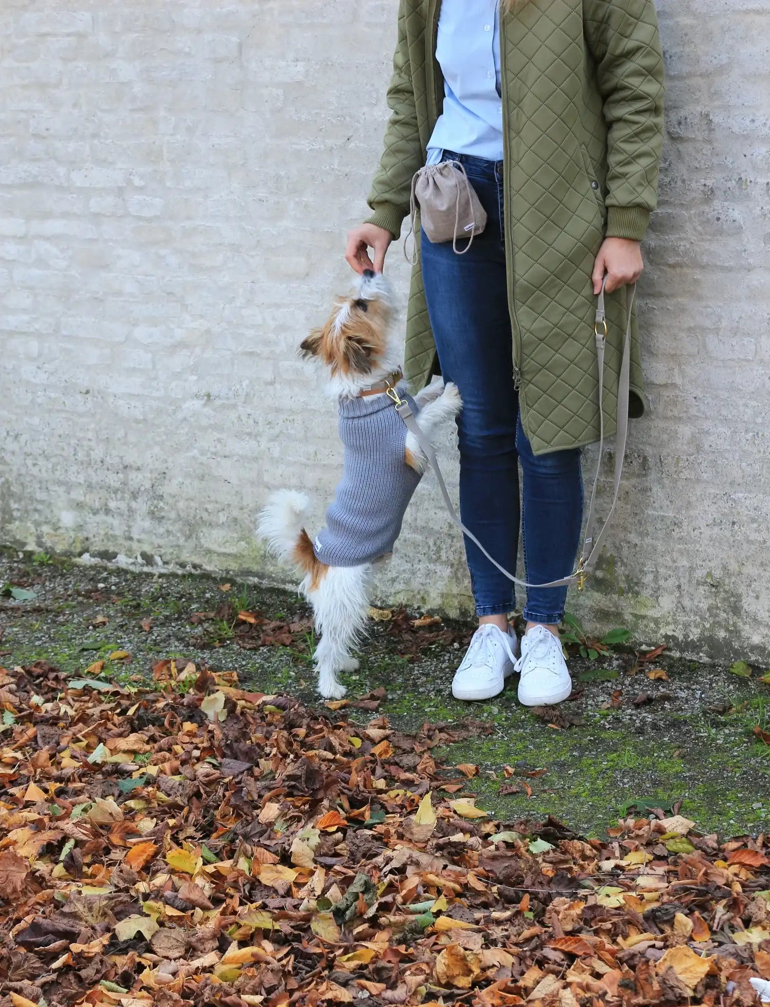 Dog treat bag in chequered dark sand attached to leash, functional accessory from Lumi Pets Walk collection.